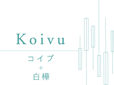 Koivu コイブ + 白樺